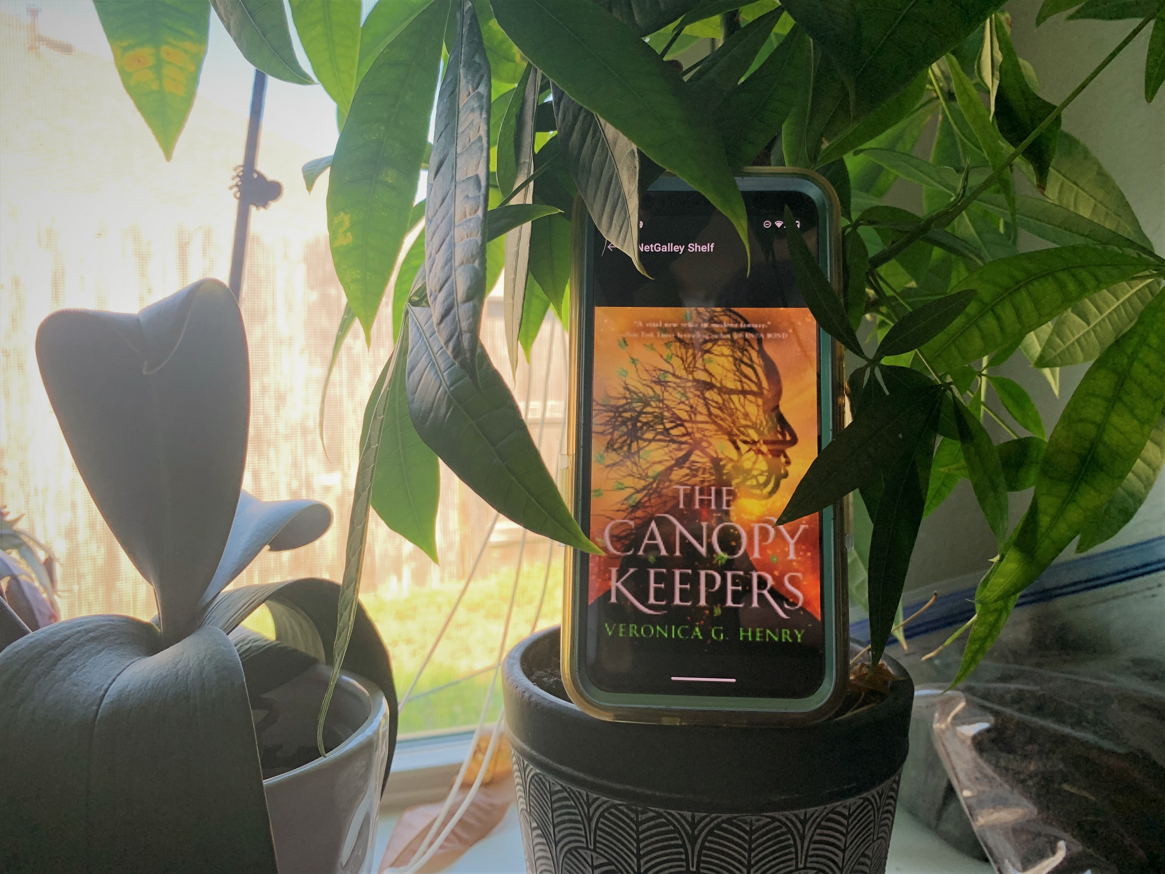 The Canopy Keepers by Veronica G. Henry